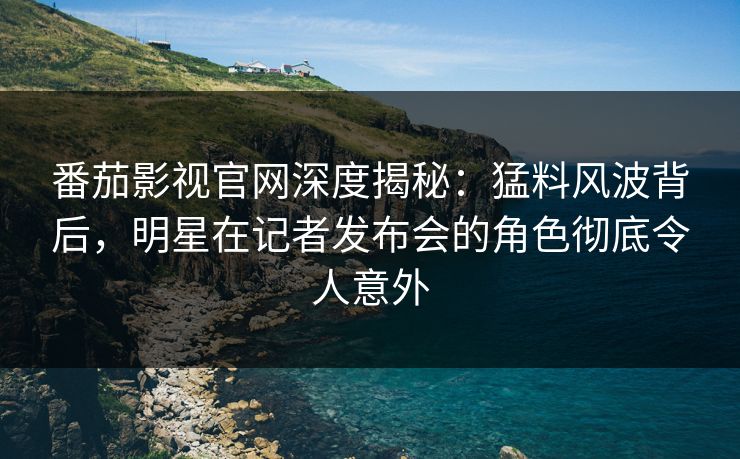 番茄影视官网深度揭秘：猛料风波背后，明星在记者发布会的角色彻底令人意外