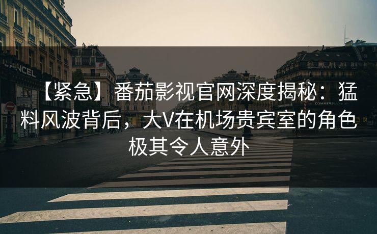 【紧急】番茄影视官网深度揭秘:猛料风波背后,大V在机场贵宾室的角色极其令人意外
