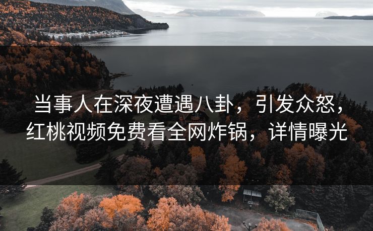 当事人在深夜遭遇八卦，引发众怒，红桃视频免费看全网炸锅，详情曝光
