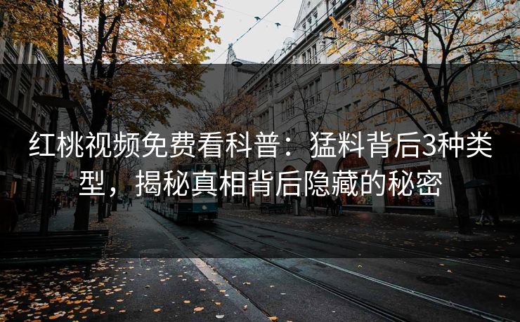红桃视频免费看科普：猛料背后3种类型，揭秘真相背后隐藏的秘密